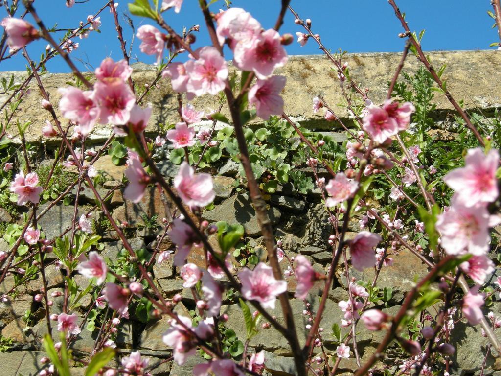 Finca Portizuelo Luarca Exterior foto